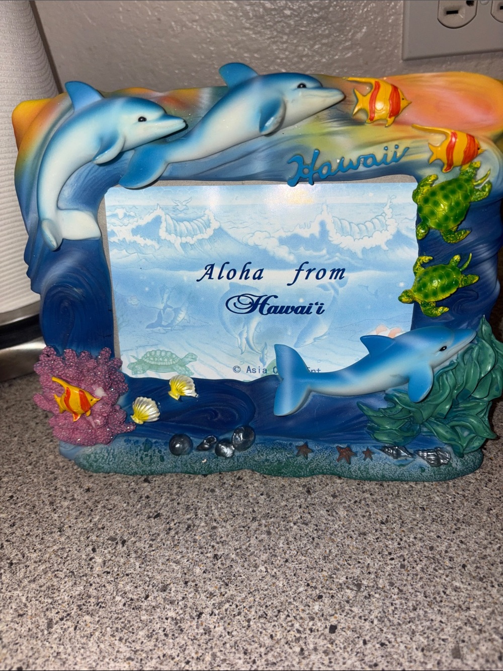Source Unknown Hawaiian Dolphin Photo Frame - Blue & Green Accents